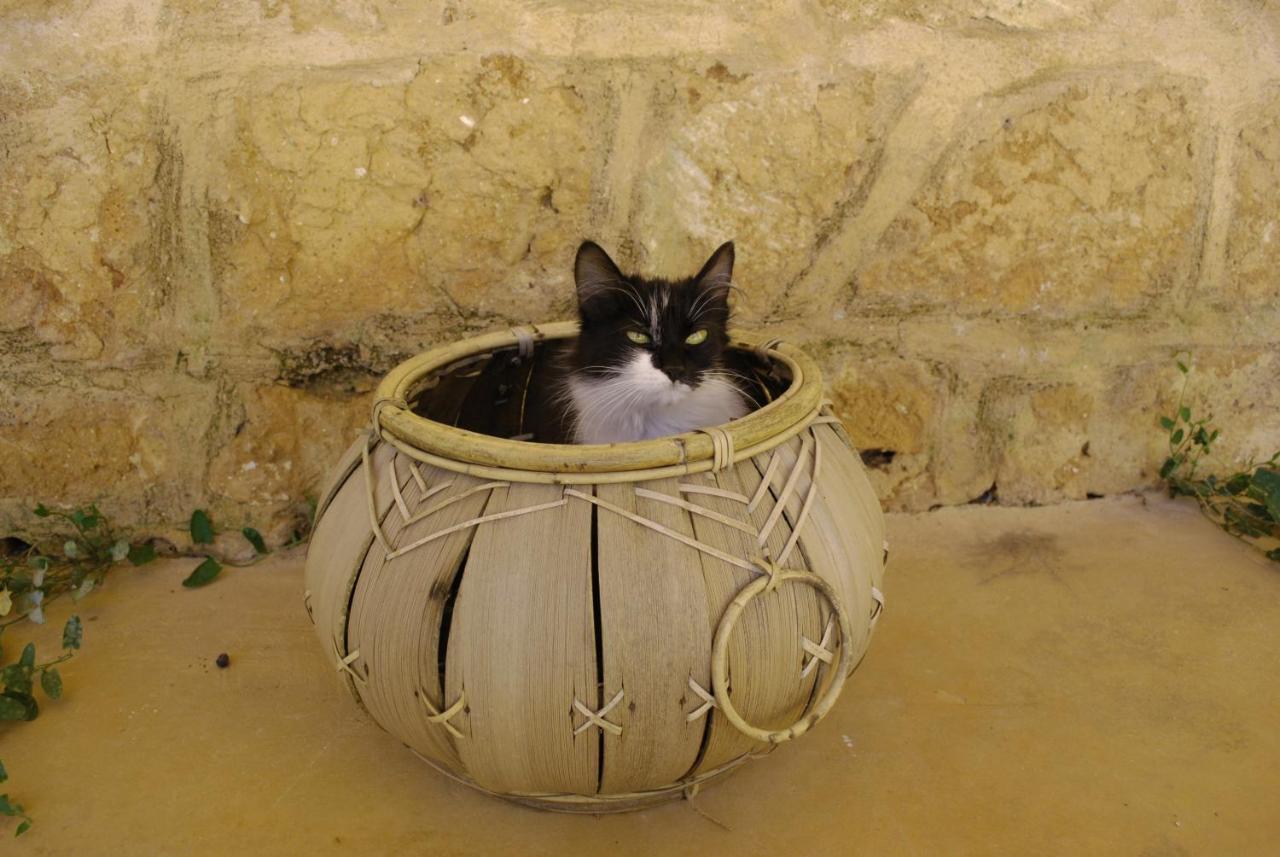 Masseria Galatea Agriturismo Alessano Extérieur photo
